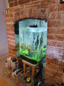 High tech tropical freshwater aquarium