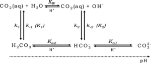 diagram of carbonate kinetic reactions
