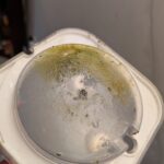 pretty nasty lid