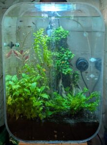 trimmed Fireplace Aquarium picture