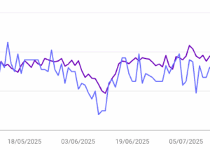 loss of Google indexing