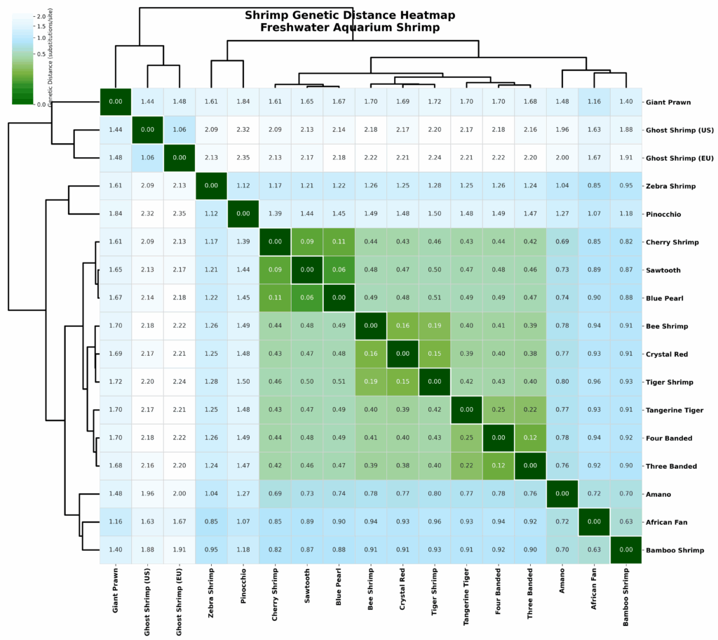 heatmap of aquarium shrimp relative evolutionary genetic distances