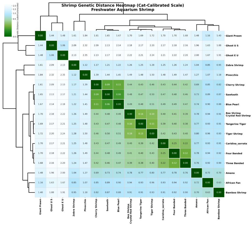 heatmap of aquarium shrimp relative evolutionary genetic distances - corrected names