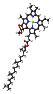 Chlorophyll-a ball and stick model
