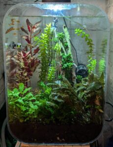 Fireplace Aquarium 27-Sep-2024