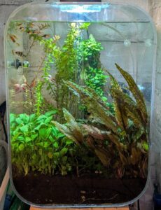 Fireplace Aquarium 14-Apr-2025