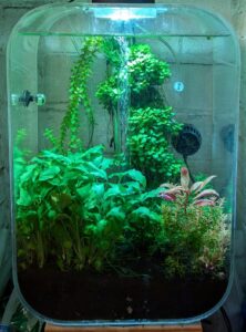 Fireplace Aquarium 17-Jan-2026