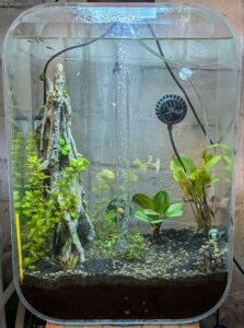 post-rescape