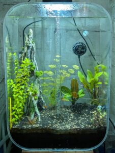 big rescape - end of part 1