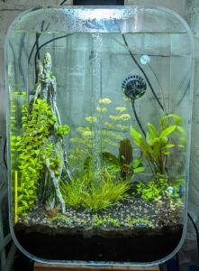 big rescape - filled in