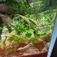 1-Mar-2026 GSA on crypt - 1-Mar-2026