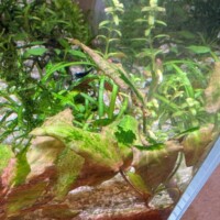 12-Mar-2026 GSA on crypt - 12-Mar-2026