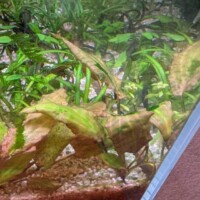 24-Mar-2026 GSA on crypt - 24-Mar-2026